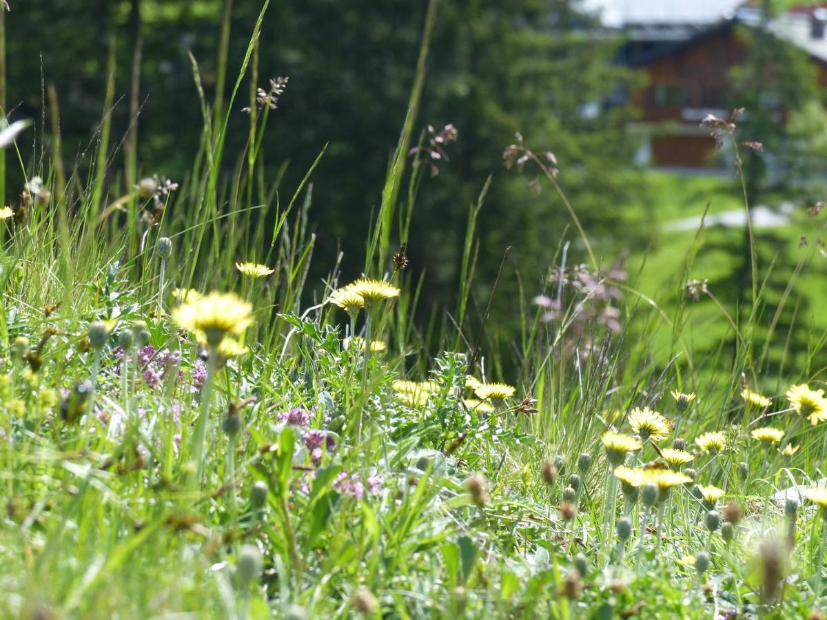 Alpinresortmontafon Garni Gargellen Exteriér fotografie